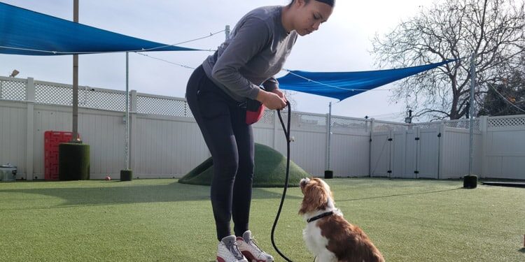 dog trainer with a small dog